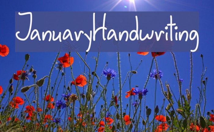 JanuaryHandwriting Font examples