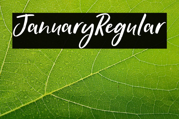 JanuaryRegular Example 2