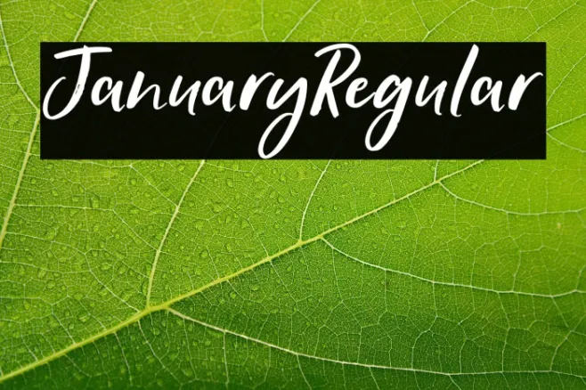 JanuaryRegular Example 2