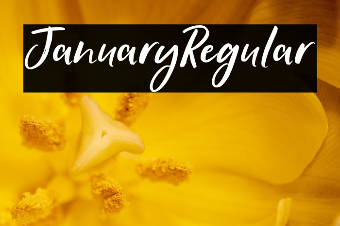 JanuaryRegular Example 3