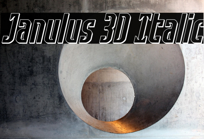 Janulus 3D Italic Example 3