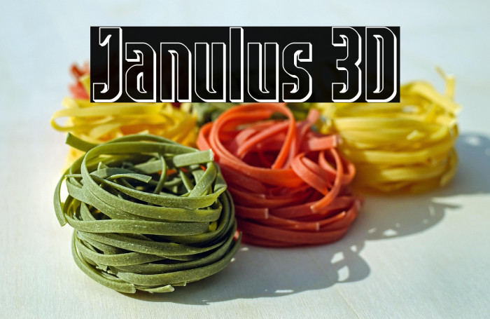 Janulus 3D Example 1