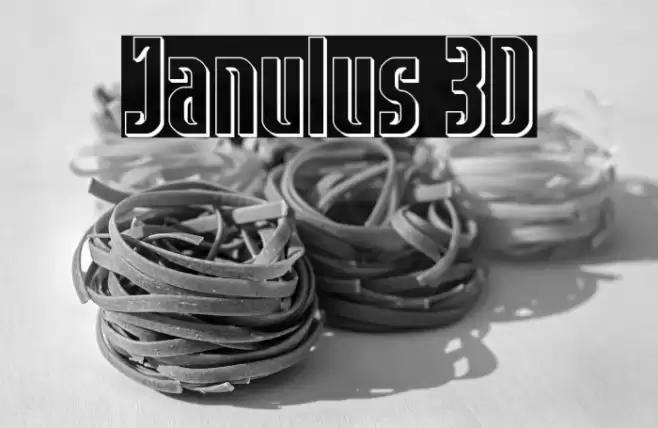 Janulus 3D Font examples