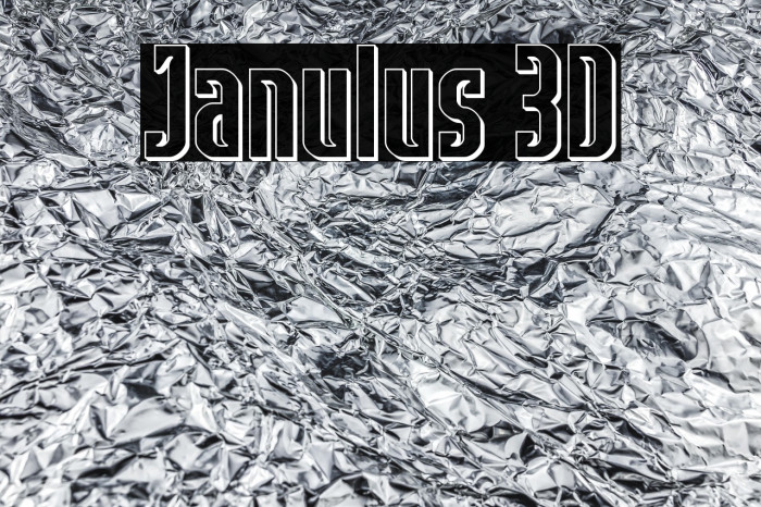 Janulus 3D Example 2