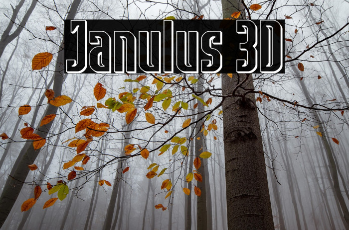 Janulus 3D Example 3