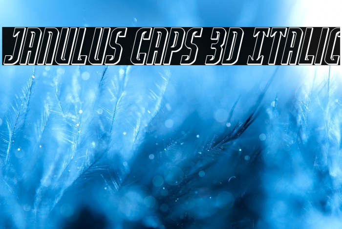 Janulus Caps 3D Italic Example 1