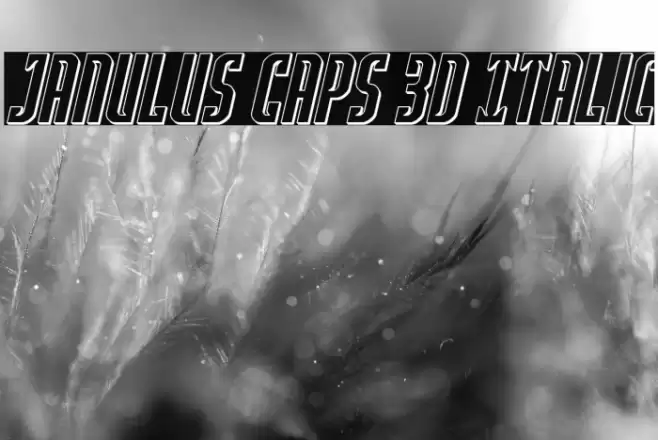 Janulus Caps 3D Italic Font examples