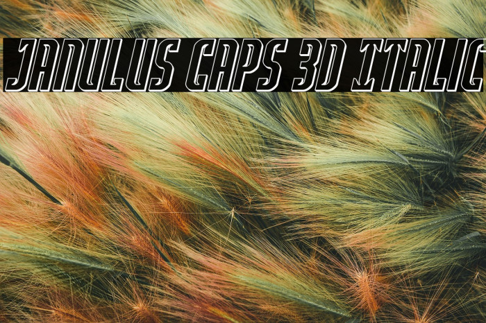Janulus Caps 3D Italic Example 2