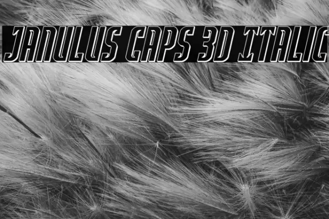 Janulus Caps 3D Italic Font examples