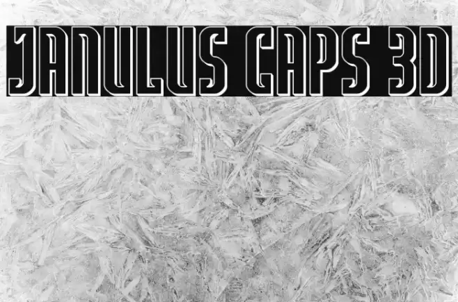 Janulus Caps 3D Font examples