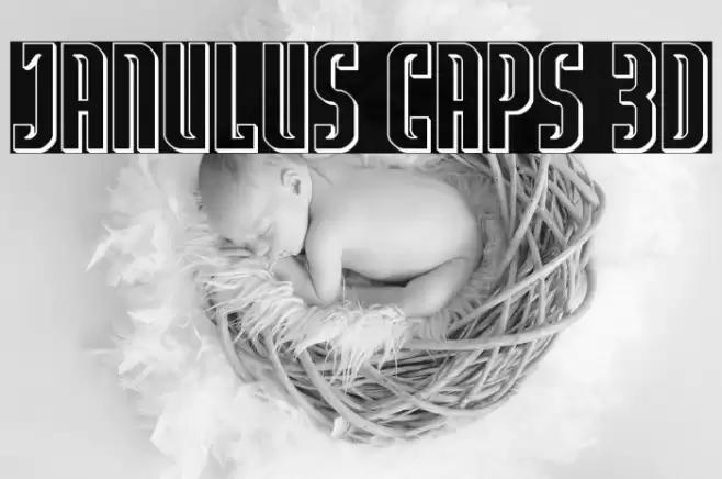 Janulus Caps 3D Font examples