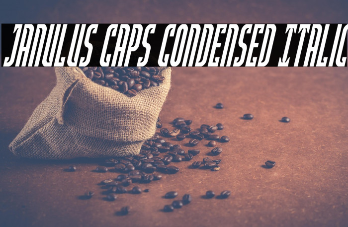 Janulus Caps Condensed Italic Example 1