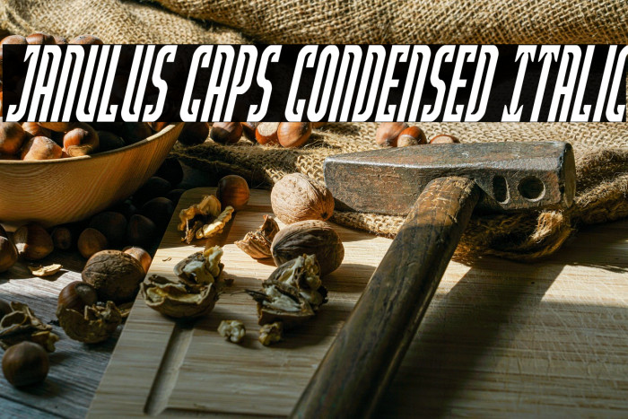 Janulus Caps Condensed Italic Example 2