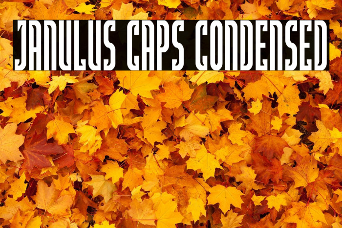 Janulus Caps Condensed Example 1