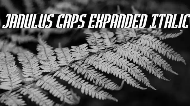 Janulus Caps Expanded Italic Font examples