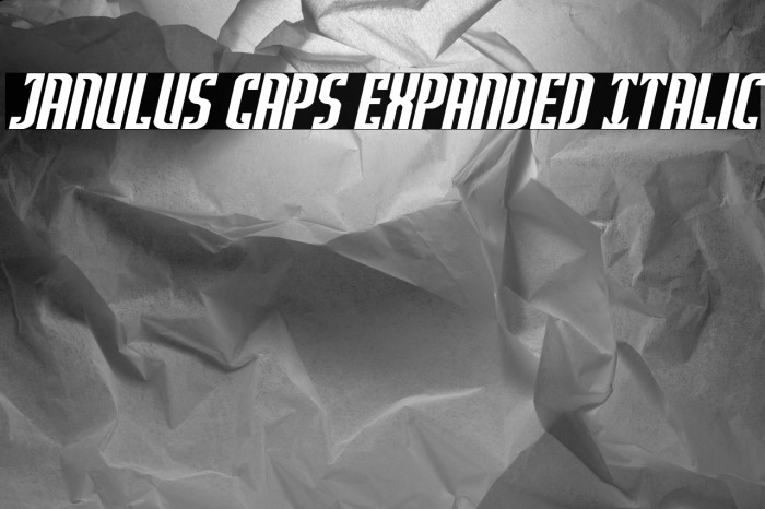 Janulus Caps Expanded Italic Example 3