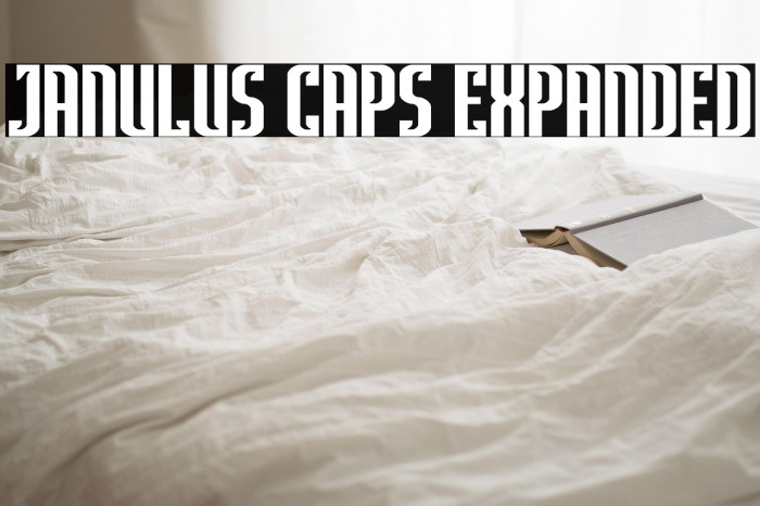Janulus Caps Expanded Example 3