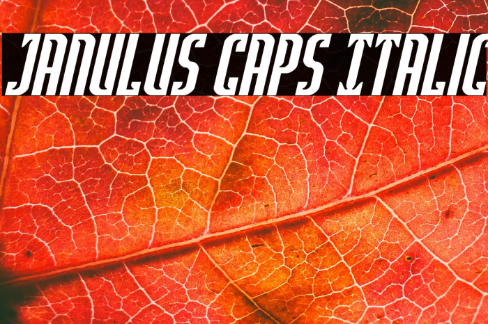 Janulus Caps Italic Example 1