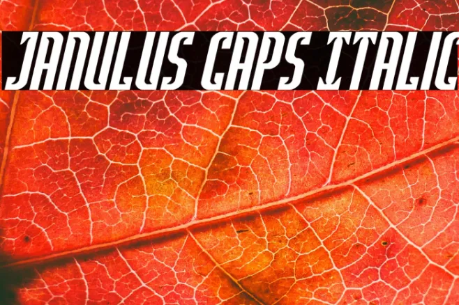 Janulus Caps Italic Example 1