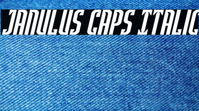 Janulus Caps Italic Example 2
