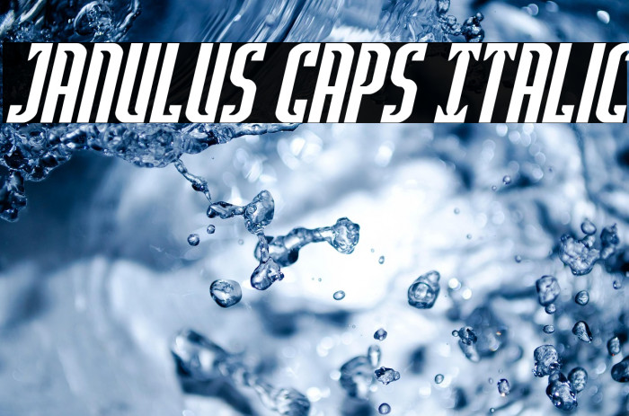 Janulus Caps Italic Example 3