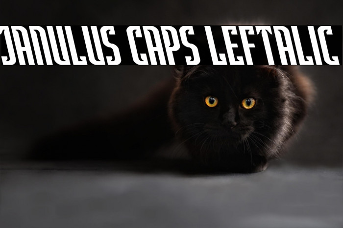 Janulus Caps Leftalic Example 1