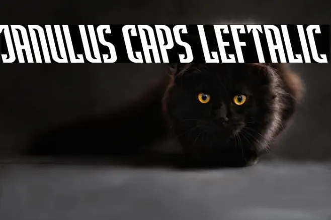 Janulus Caps Leftalic Example 1