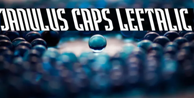 Janulus Caps Leftalic Example 2