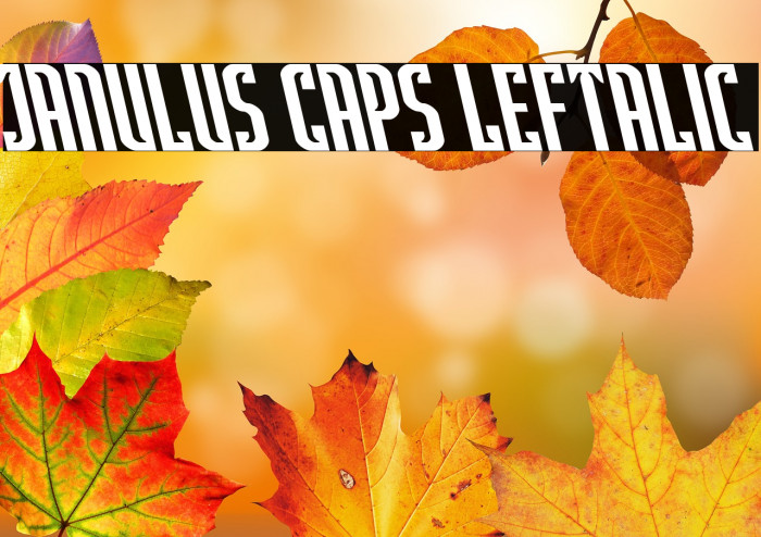 Janulus Caps Leftalic Example 3