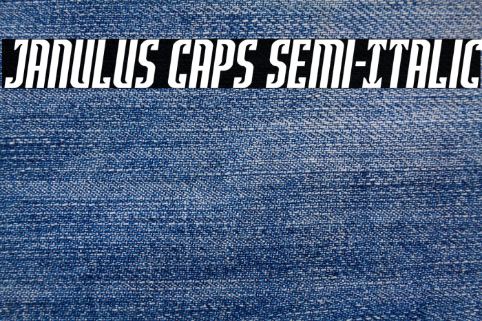 Janulus Caps Semi-Italic Example 2