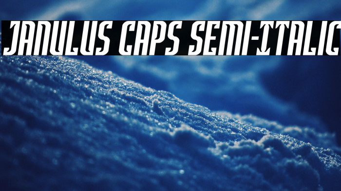 Janulus Caps Semi-Italic Example 3