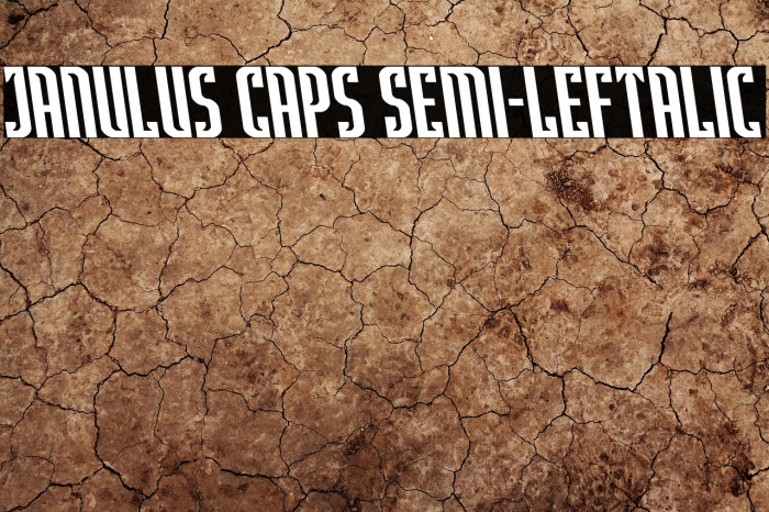 Janulus Caps Semi-Leftalic Example 3