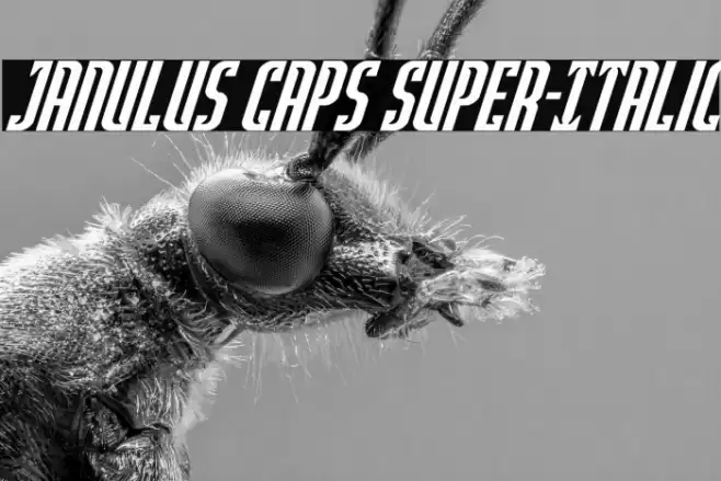 Janulus Caps Super-Italic Fuentes examples
