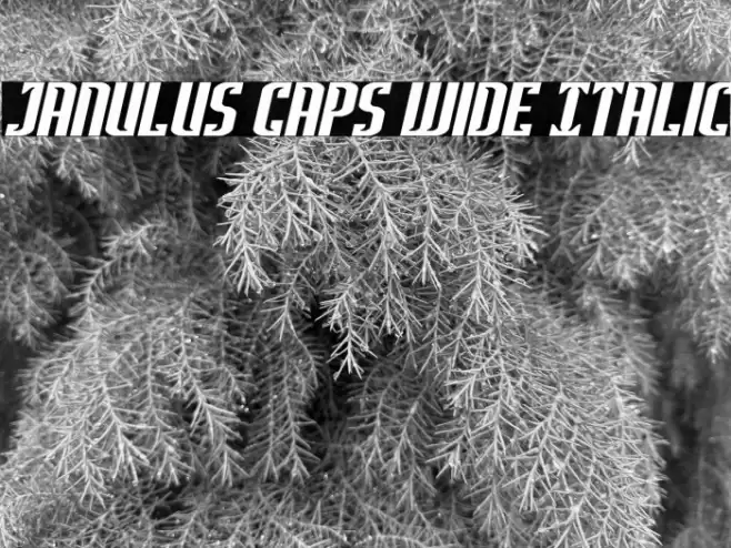 Janulus Caps Wide Italic Font examples