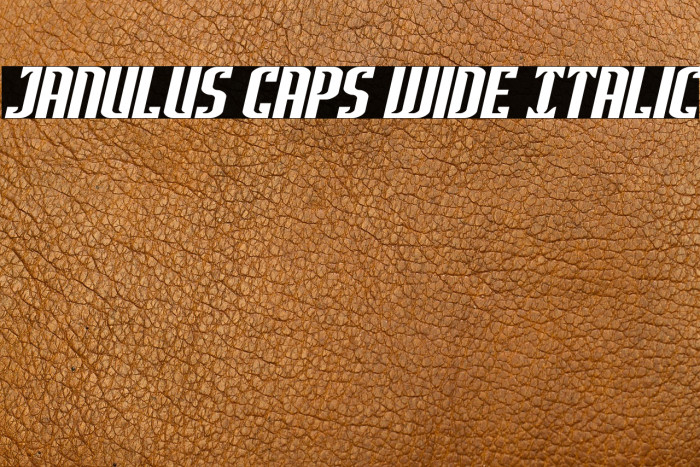 Janulus Caps Wide Italic Example 2