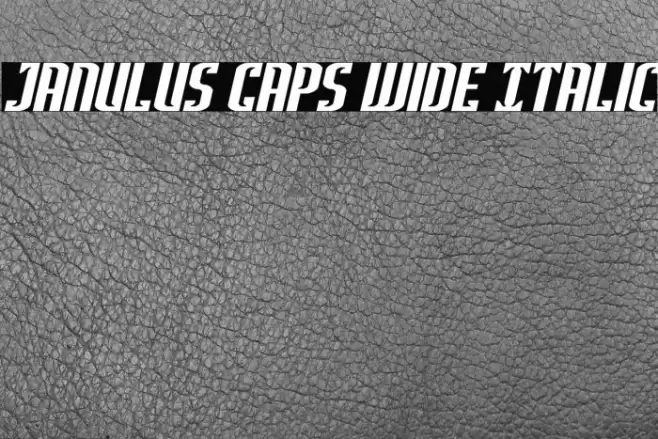 Janulus Caps Wide Italic Font examples