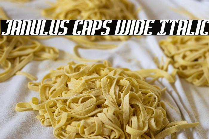 Janulus Caps Wide Italic Example 3