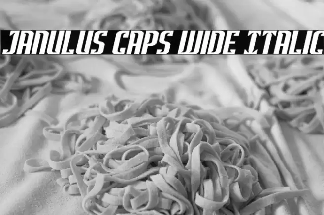 Janulus Caps Wide Italic Font examples