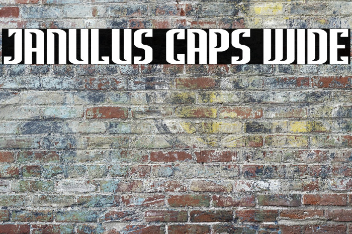 Janulus Caps Wide Example 1