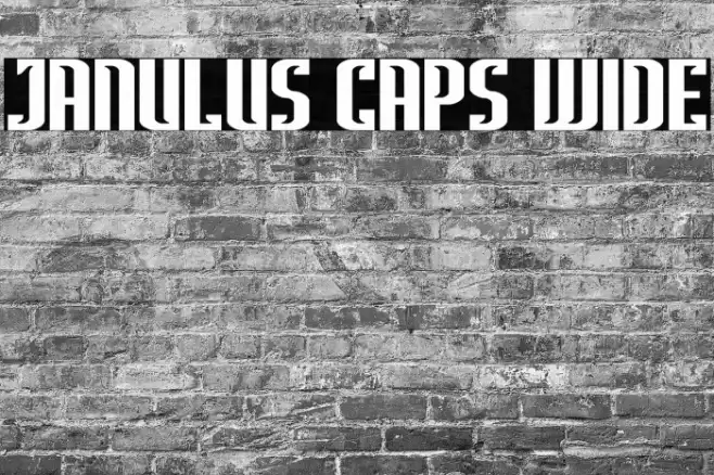 Janulus Caps Wide Font examples