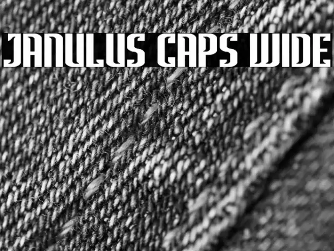 Janulus Caps Wide Font examples