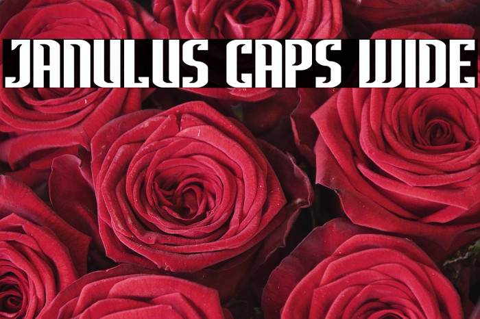 Janulus Caps Wide Example 3