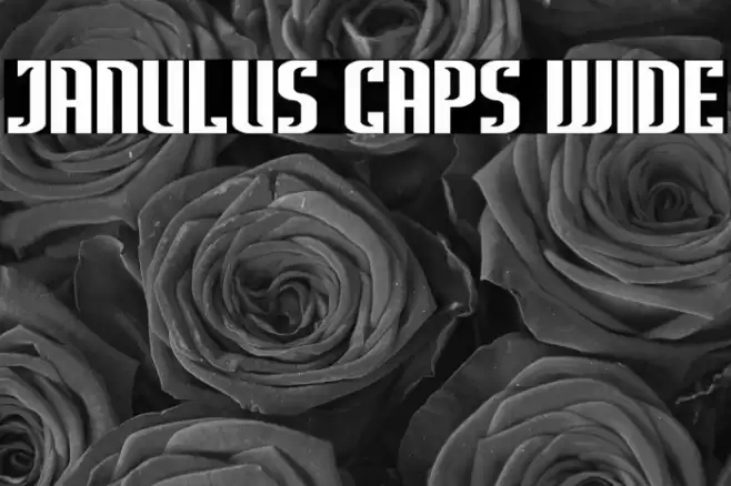 Janulus Caps Wide Font examples