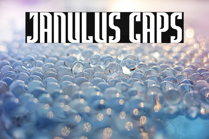Janulus Caps Example 1