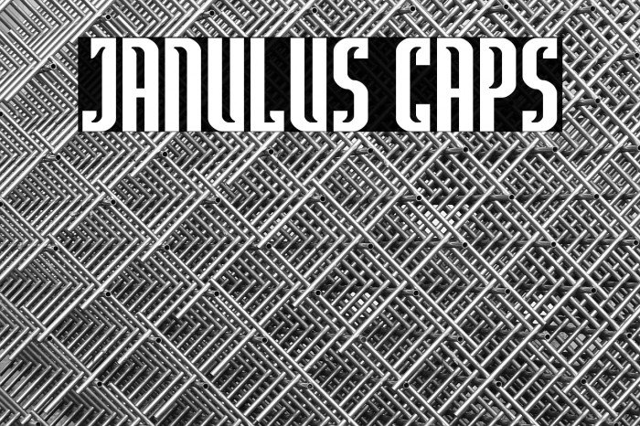 Janulus Caps Example 3