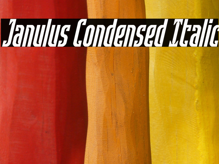 Janulus Condensed Italic Example 1