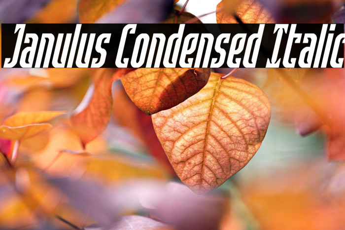 Janulus Condensed Italic Example 2