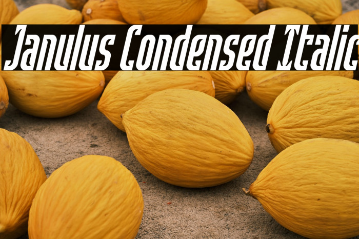 Janulus Condensed Italic Example 3