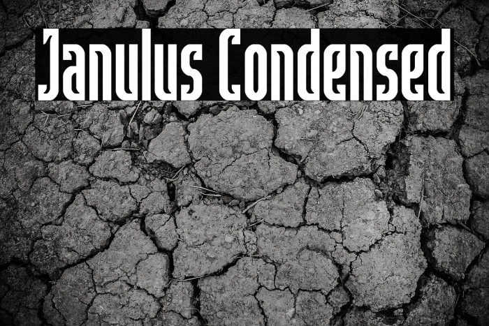 Janulus Condensed Example 1
