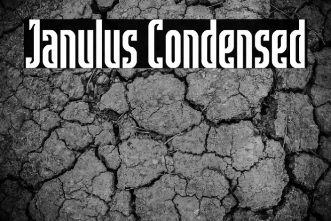 Janulus Condensed Font examples